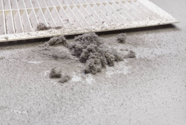 Best Professional Duct Cleaning Services  in South Miami, FL